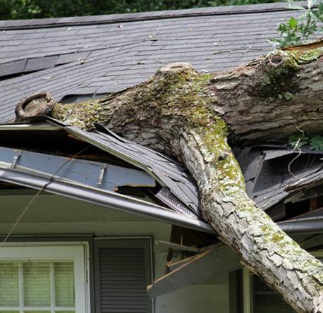 Storm damage